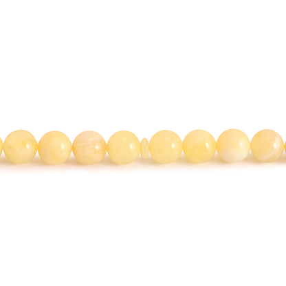 Rosary 33 Embedded With Natural Yellow Amber Premium Grade Round Beads 12 mm Fabric Tassel