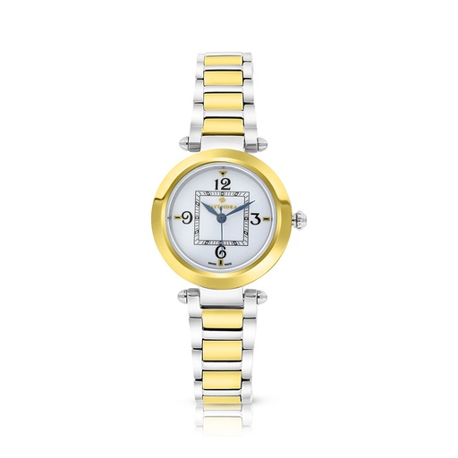 [WAT3400000SILW060] Stainless Steel 316 Watch Steel And Golden Color - SILVER DIAL